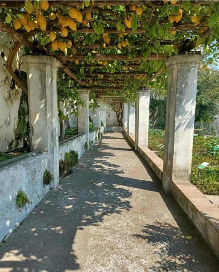 Salifornia Casa Vacanze Salerno Exterior foto